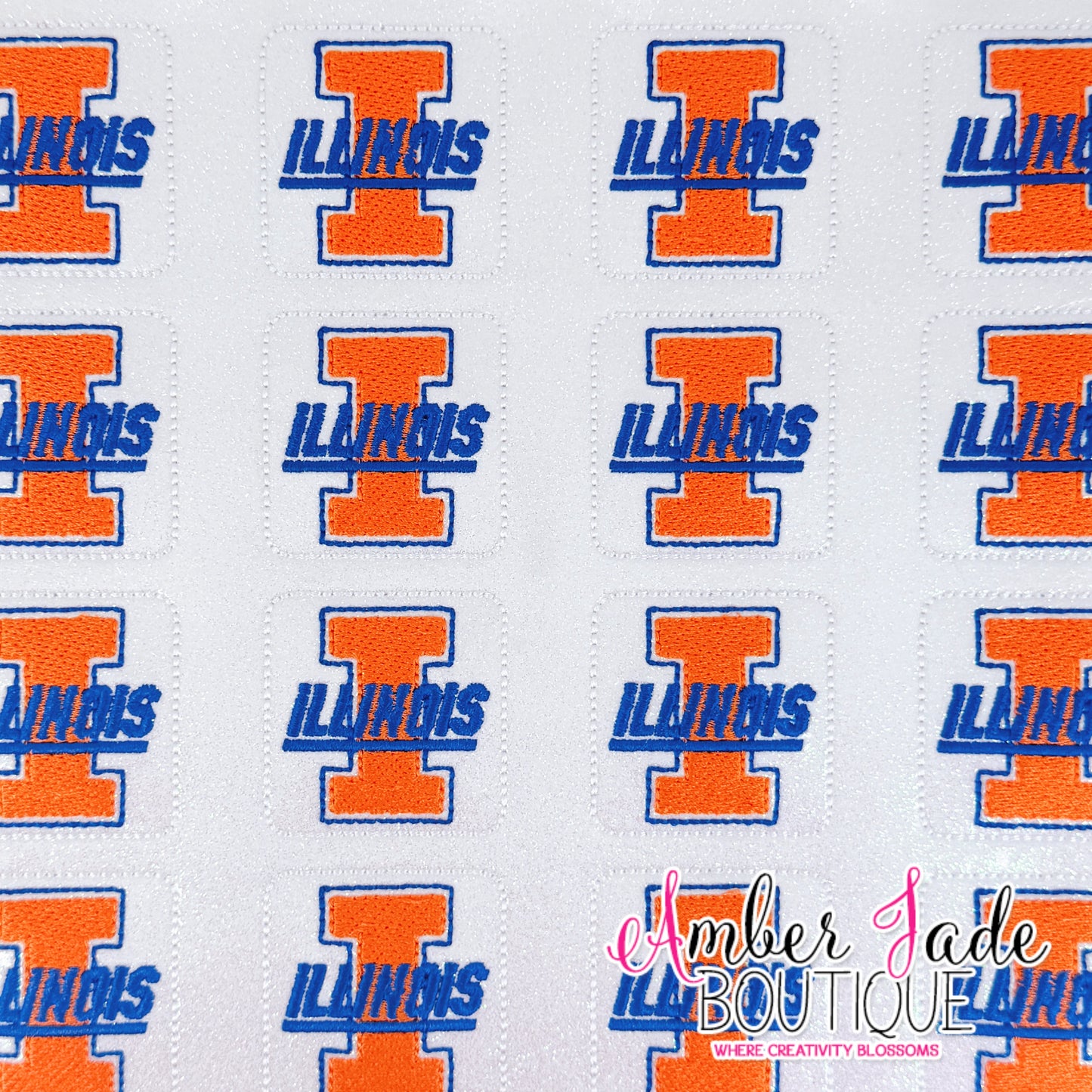 University of Illinois