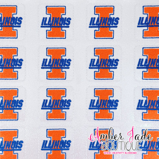 University of Illinois