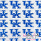 UK Wildcats
