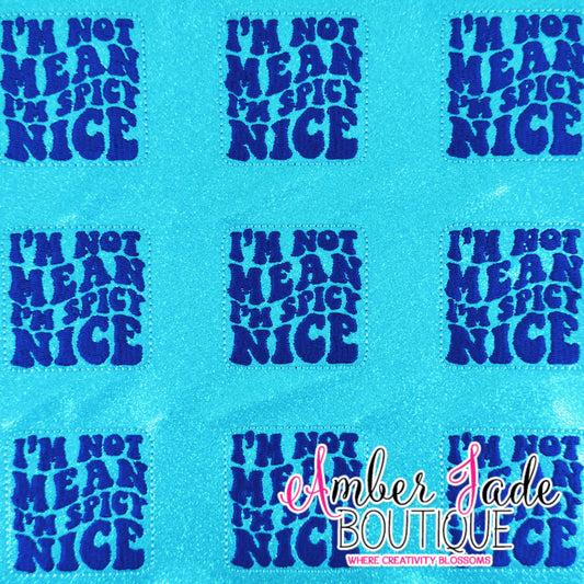 I'm Not Mean I'm Spicy Nice - XL (Set of 3)