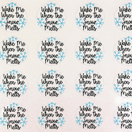 Wake Me When the Snow Melts