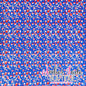 *LIMITED* Baby Bow Coquette - 4th of July Popsices