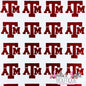 Texas A&M
