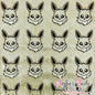 Poke Eevelutions - Eevee
