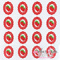 Vintage Strawberry Frame