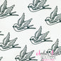 Swallow Bird