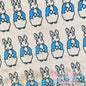 Peter Rabbit