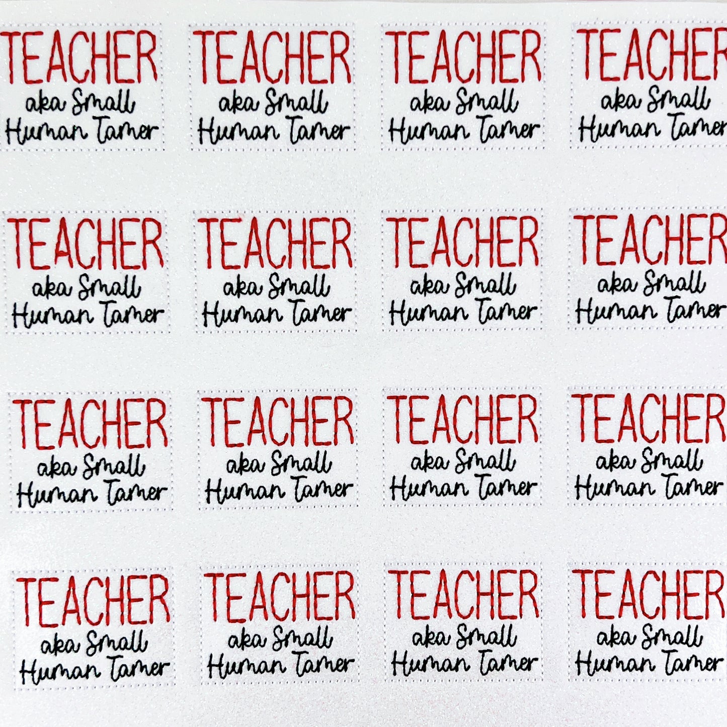 Teacher aka Small Human Tamer