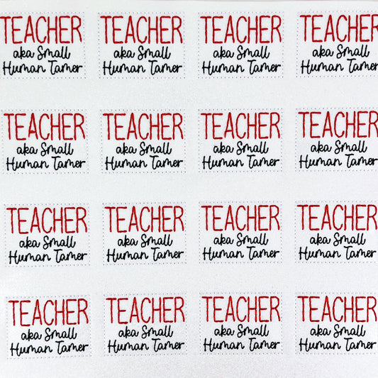 Teacher aka Small Human Tamer